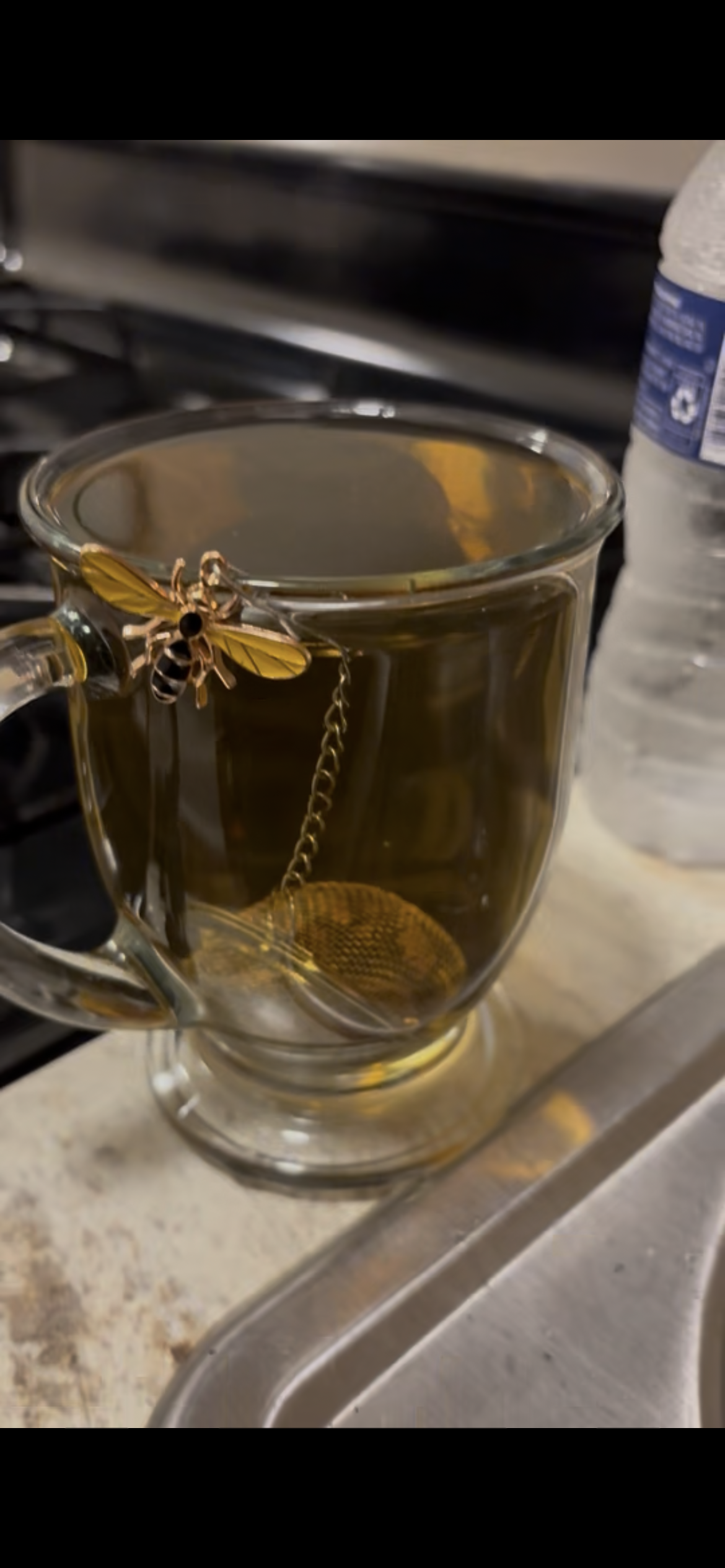 Tea Strainer